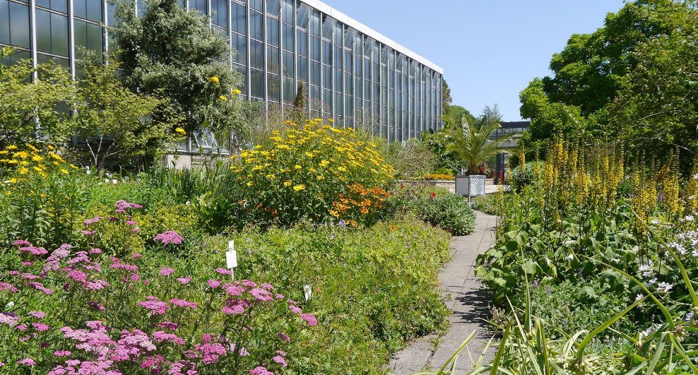 Botanischer Garten der Universität Tübingen, Germany